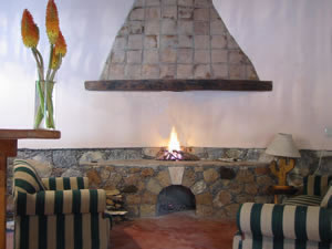 La chimenea.