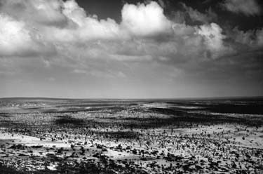 Wirikuta, el lugar sagrado de los Huicholes