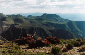 The Catorce mountain range.