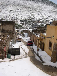 Real after a serious hail storm.