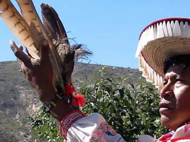 Huichol shaman