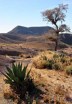 Cerro Quemado 