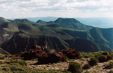 La sierra de Catorce
