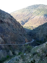 Cammino a Estación Catorce.