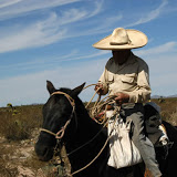 Stefano Pennacchietti